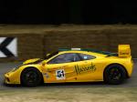 McLaren F1 GTR 1995 года